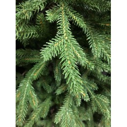 Елка искусственная GrandCity Parma 150 см
