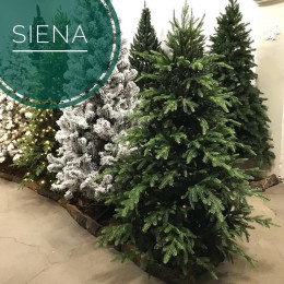 Елка искусственная GrandCity Siena 180 см