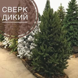 Елка искусственная GrandCity Сверк Дикий 120 см
